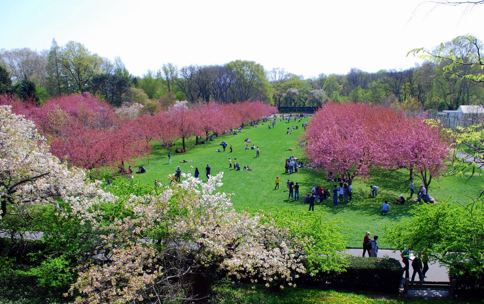 nhung vuon bach thao dep nhat the gioi anh 1