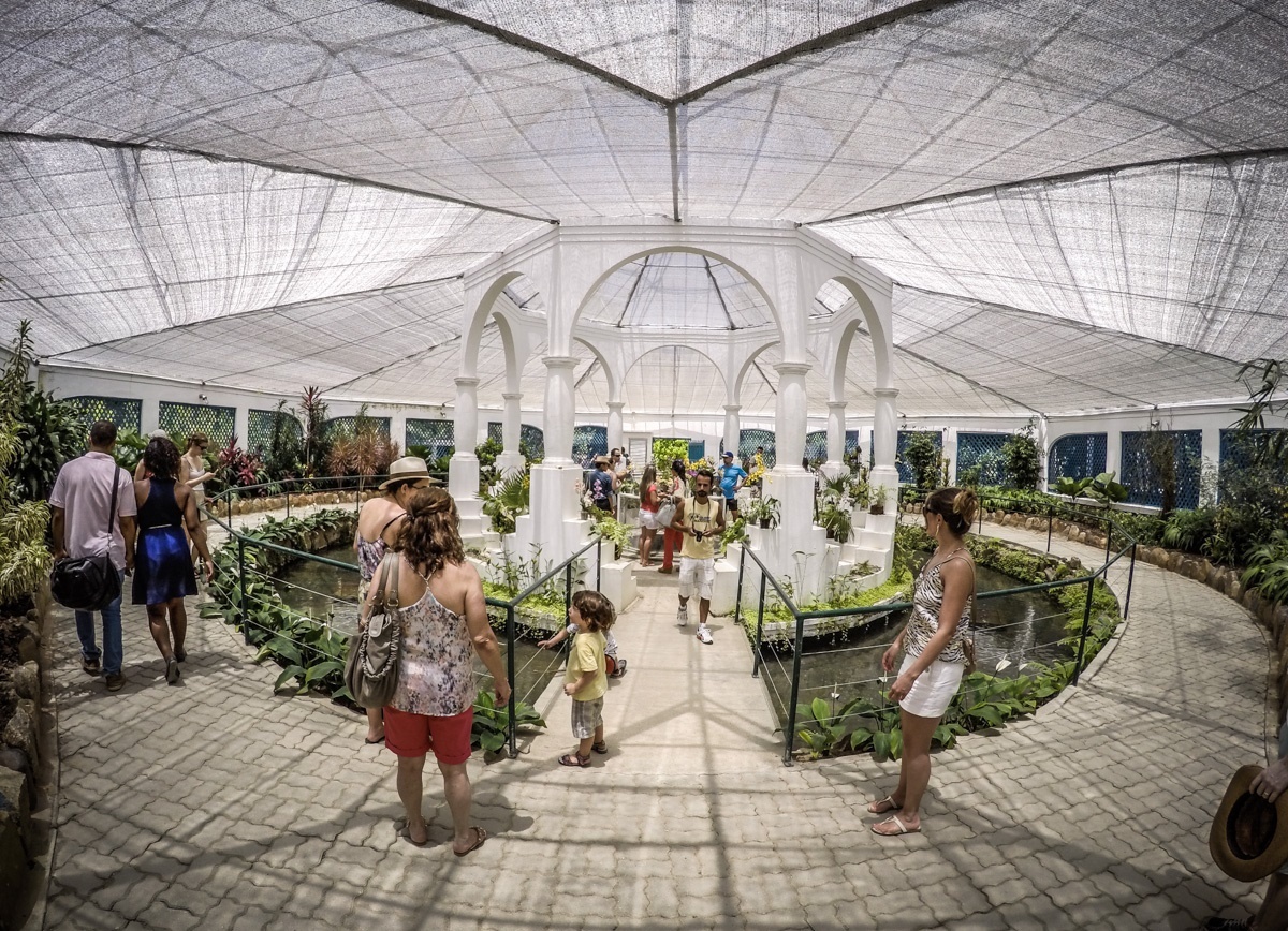 nhung vuon bach thao dep nhat the gioi anh 8