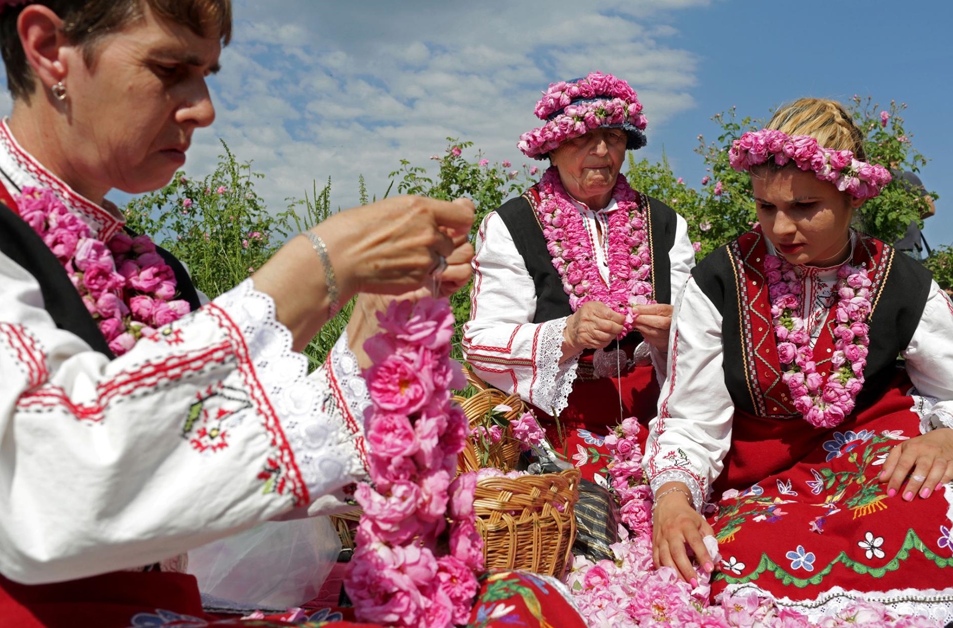 thung lũng hoa hồng ở bulgaria ảnh 4 thung lung hoa hong o bulgaria anh 4