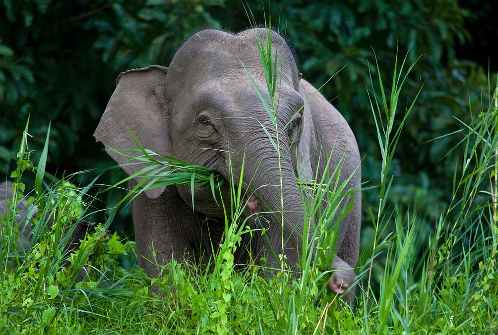 cac dia diem ngam voi noi tieng anh 9