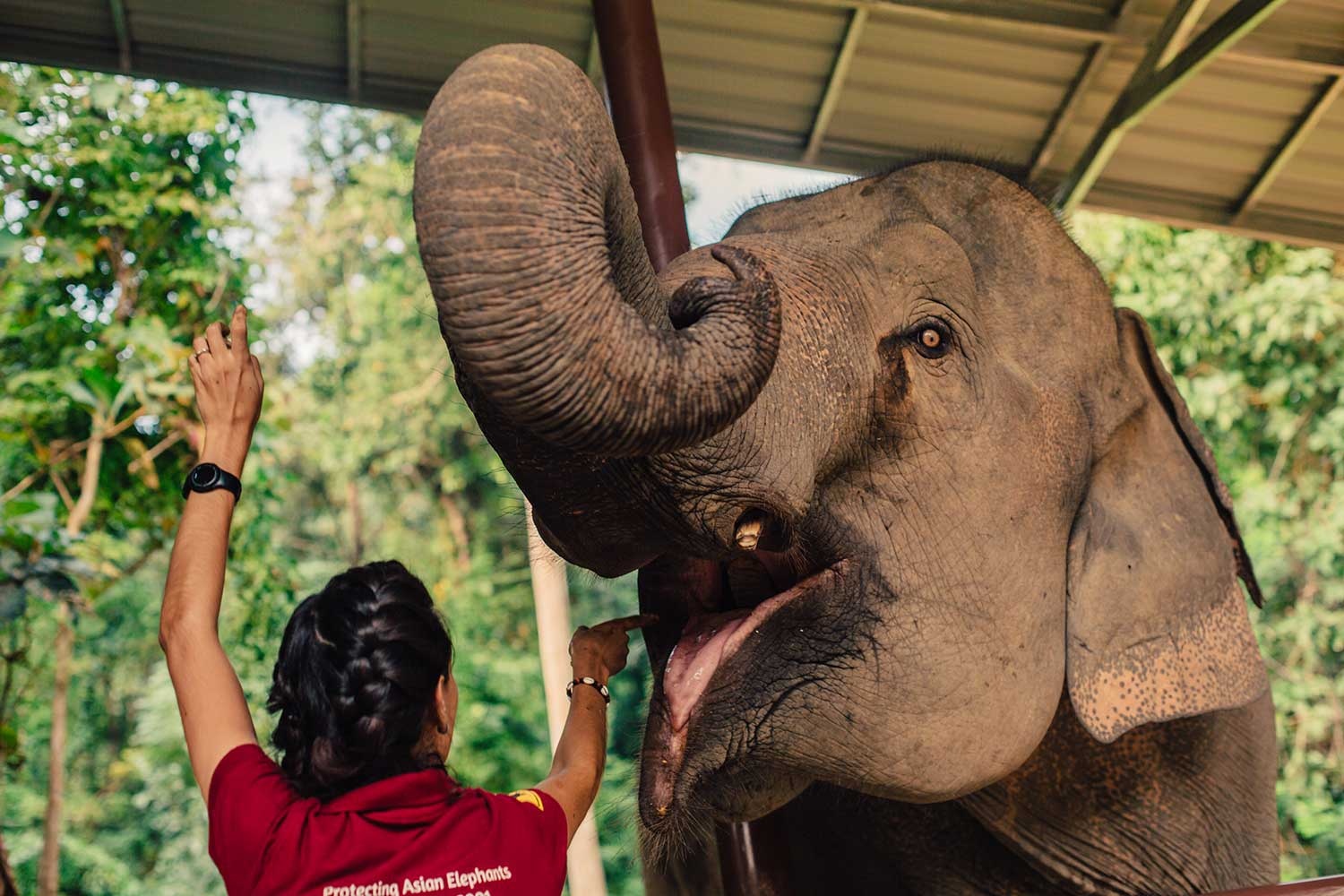 cac dia diem ngam voi noi tieng anh 3