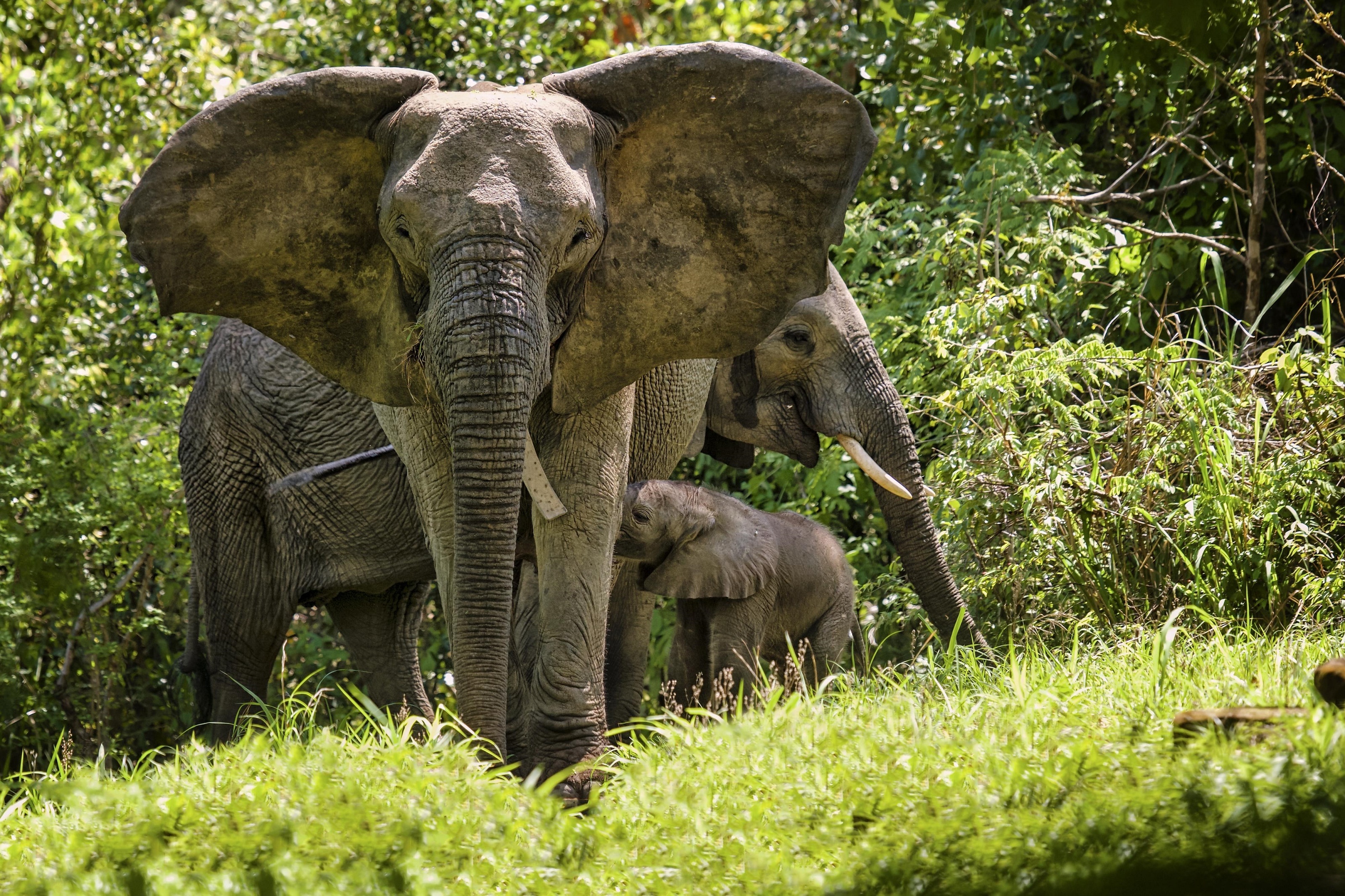 cac dia diem ngam voi noi tieng anh 4