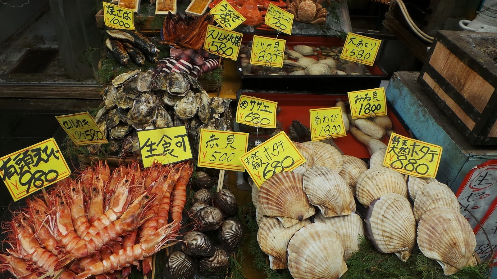 du lich osaka anh 10