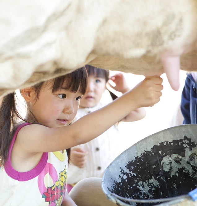 du lich narita nhat ban anh 7