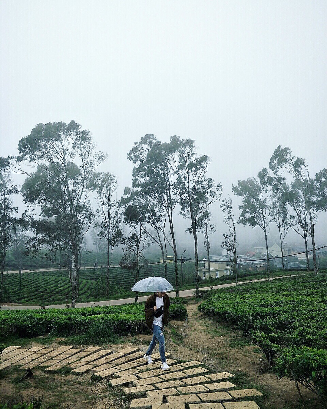 du lich Da Lat 2/9 anh 10