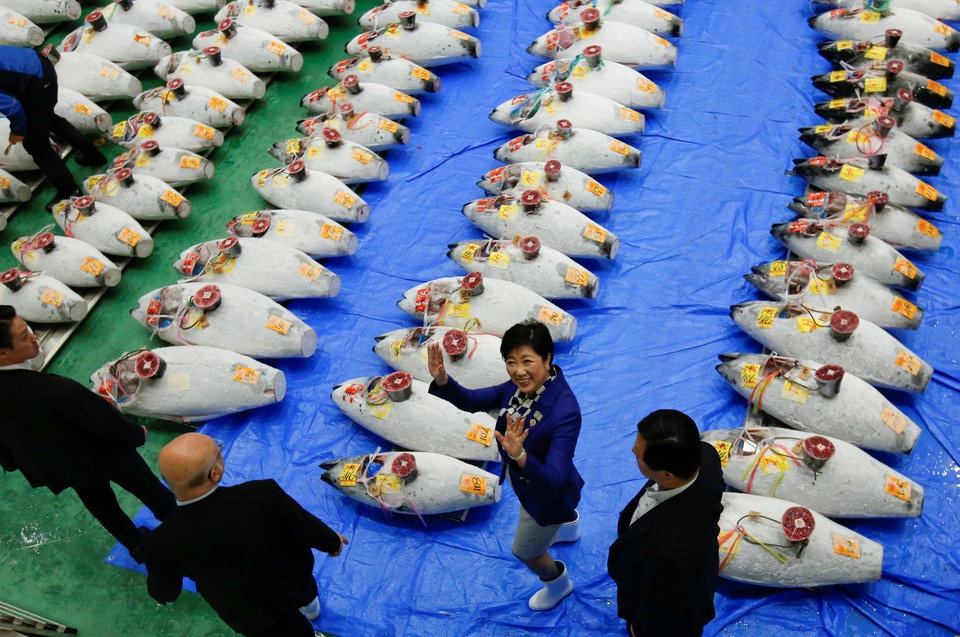 cho ca lon nhat the gioi anh 14