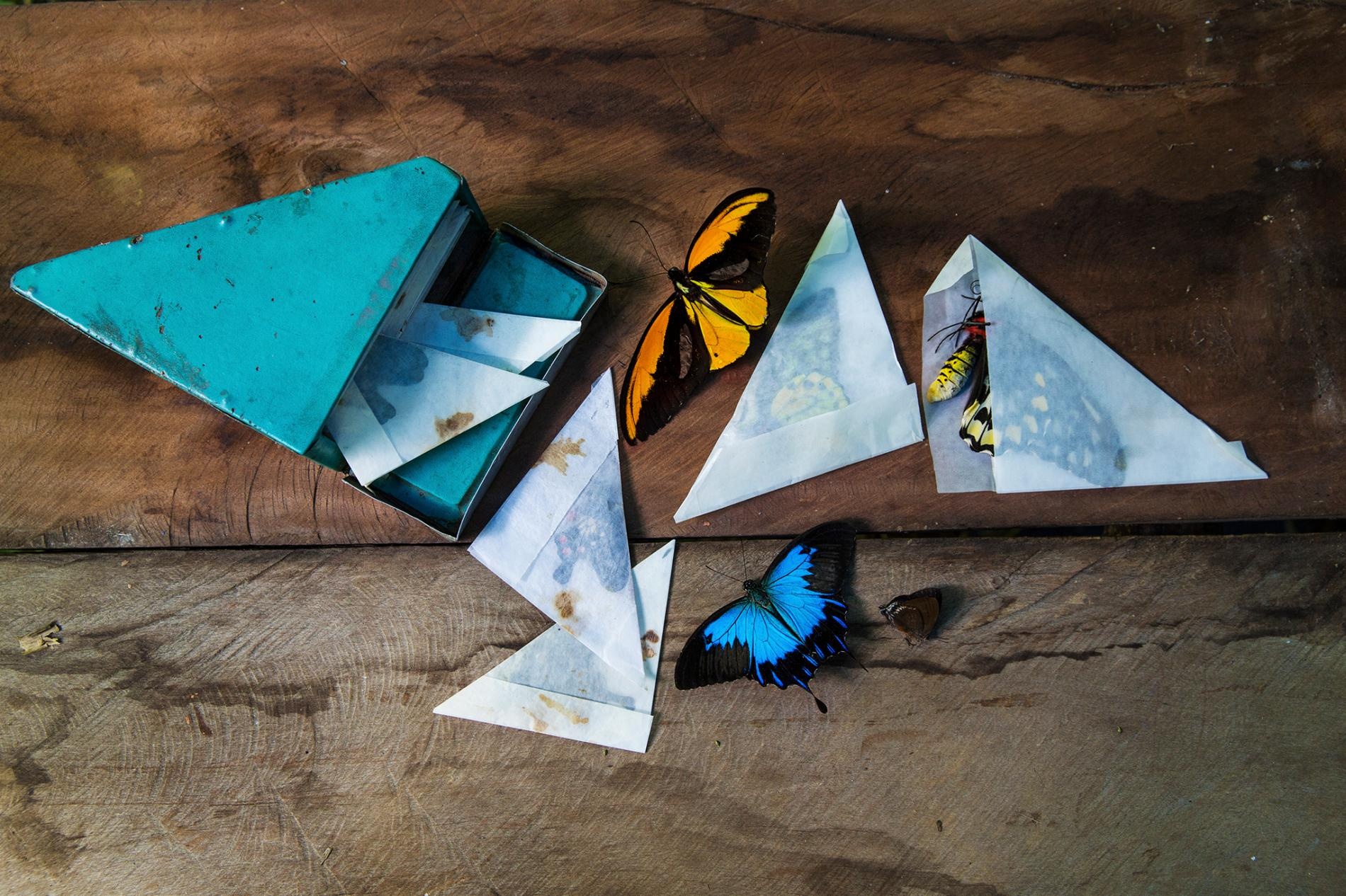 san buom o Indonesia anh 1