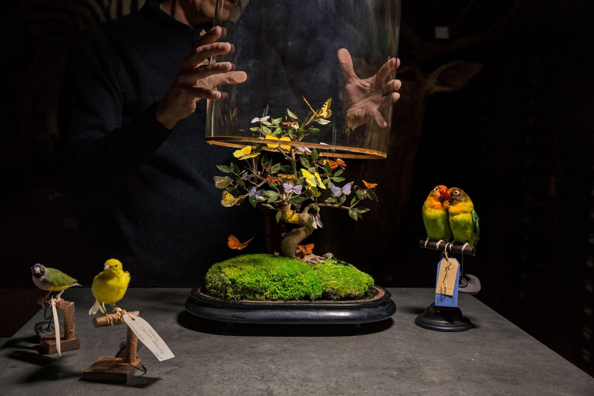 san buom o Indonesia anh 16