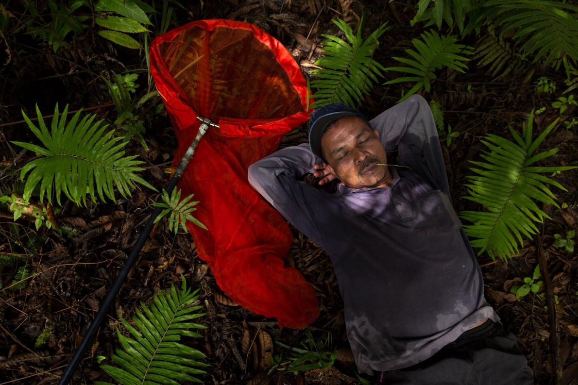 san buom o Indonesia anh 3