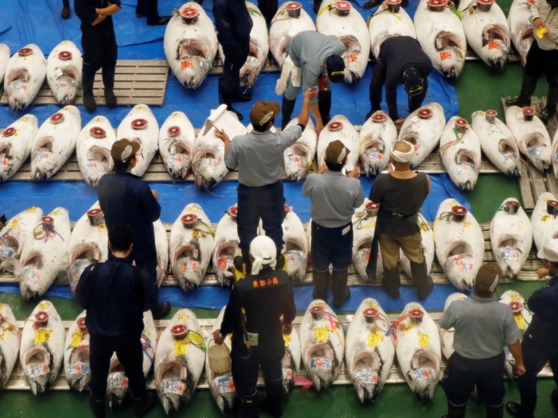 Vi sao cho ca lon nhat the gioi o Nhat gay tranh cai khi doi dia diem? hinh anh