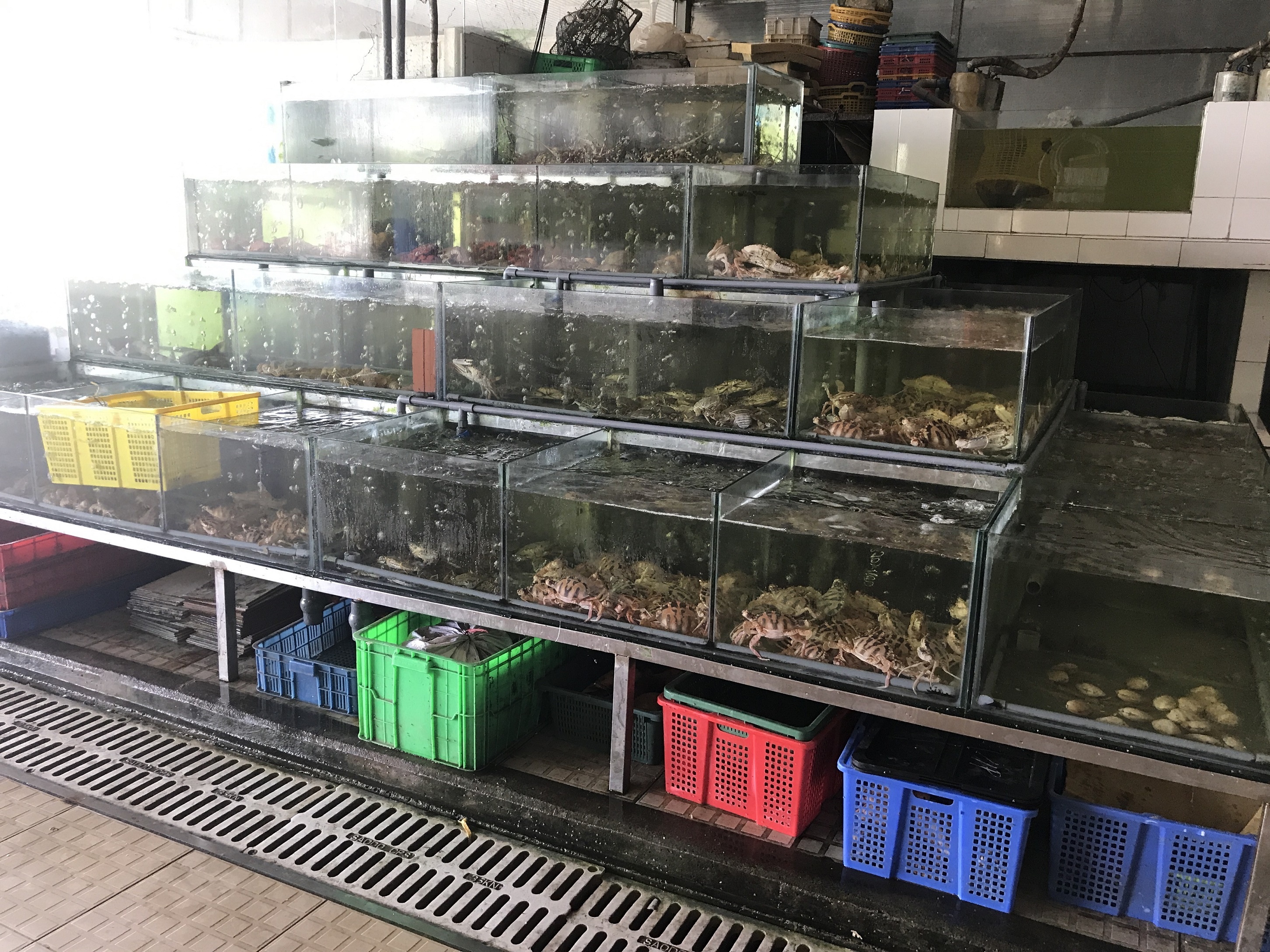 hai san tuoi song ngon re o TP.HCM anh 23