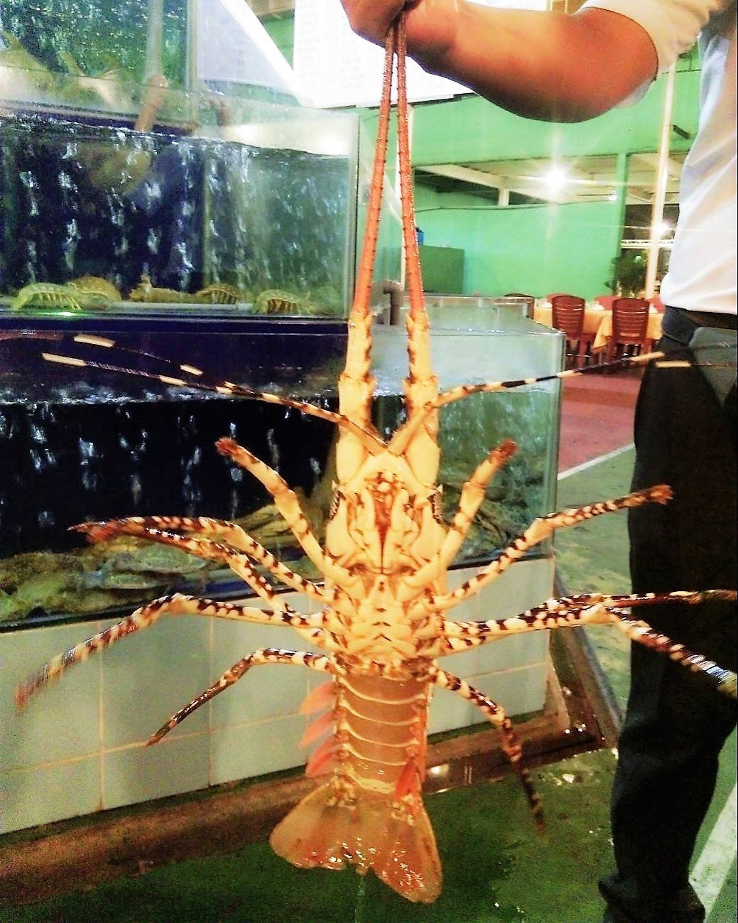 hai san tuoi song ngon re o TP.HCM anh 20