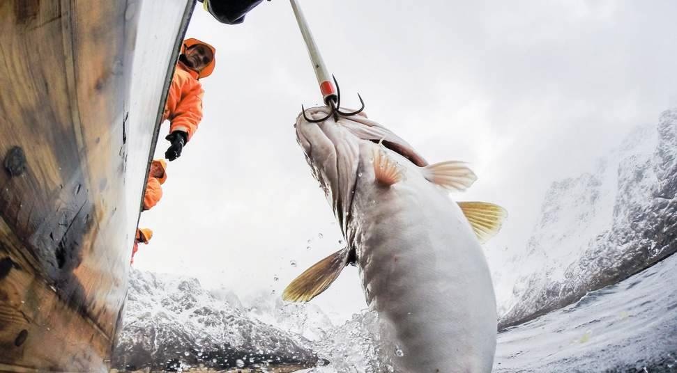 dac san chau Au anh 10