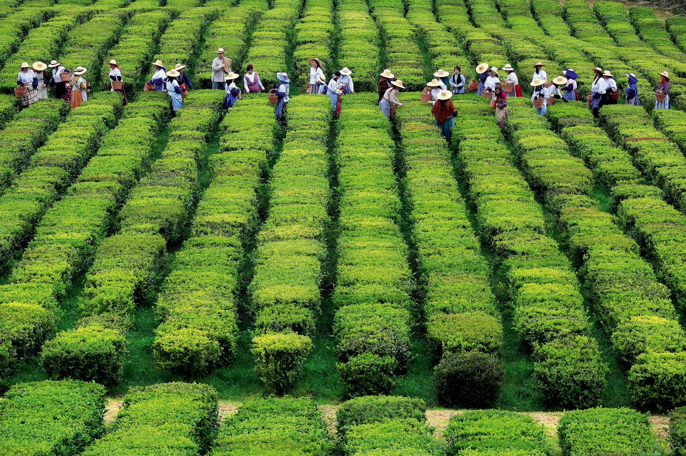 quan dao Azores Bo Dao Nha anh 3