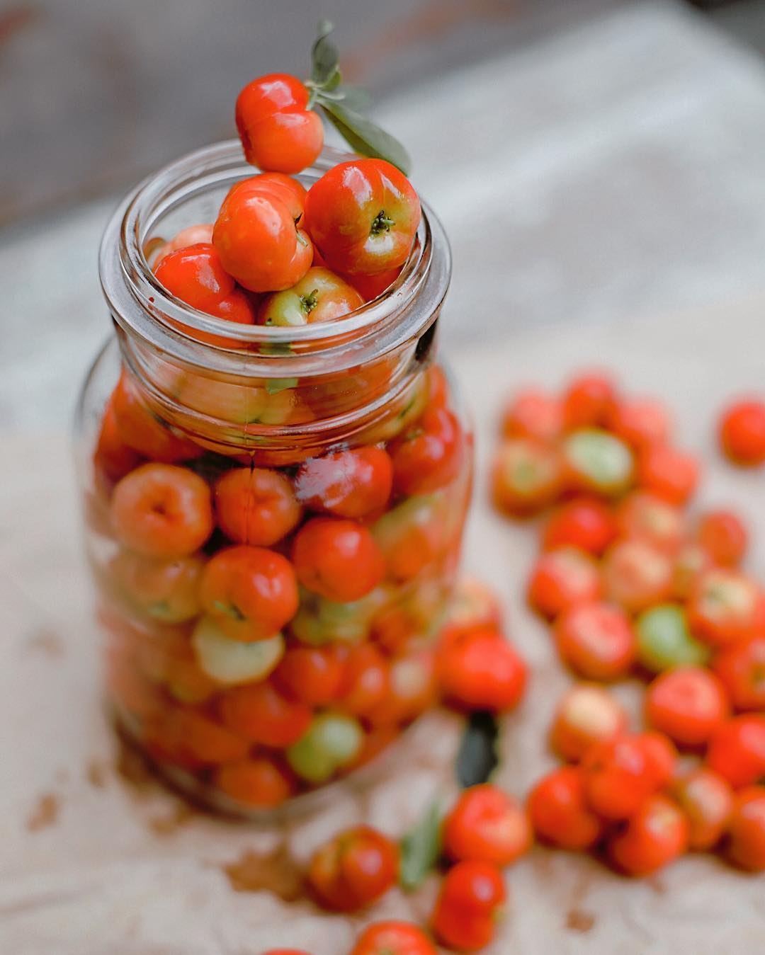 dac san tien giang anh 3