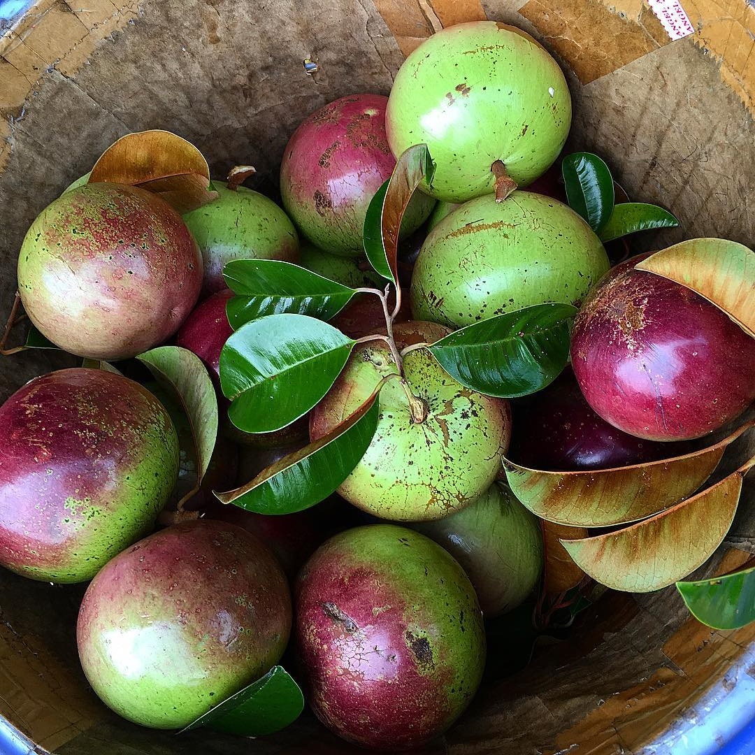 dac san tien giang anh 2