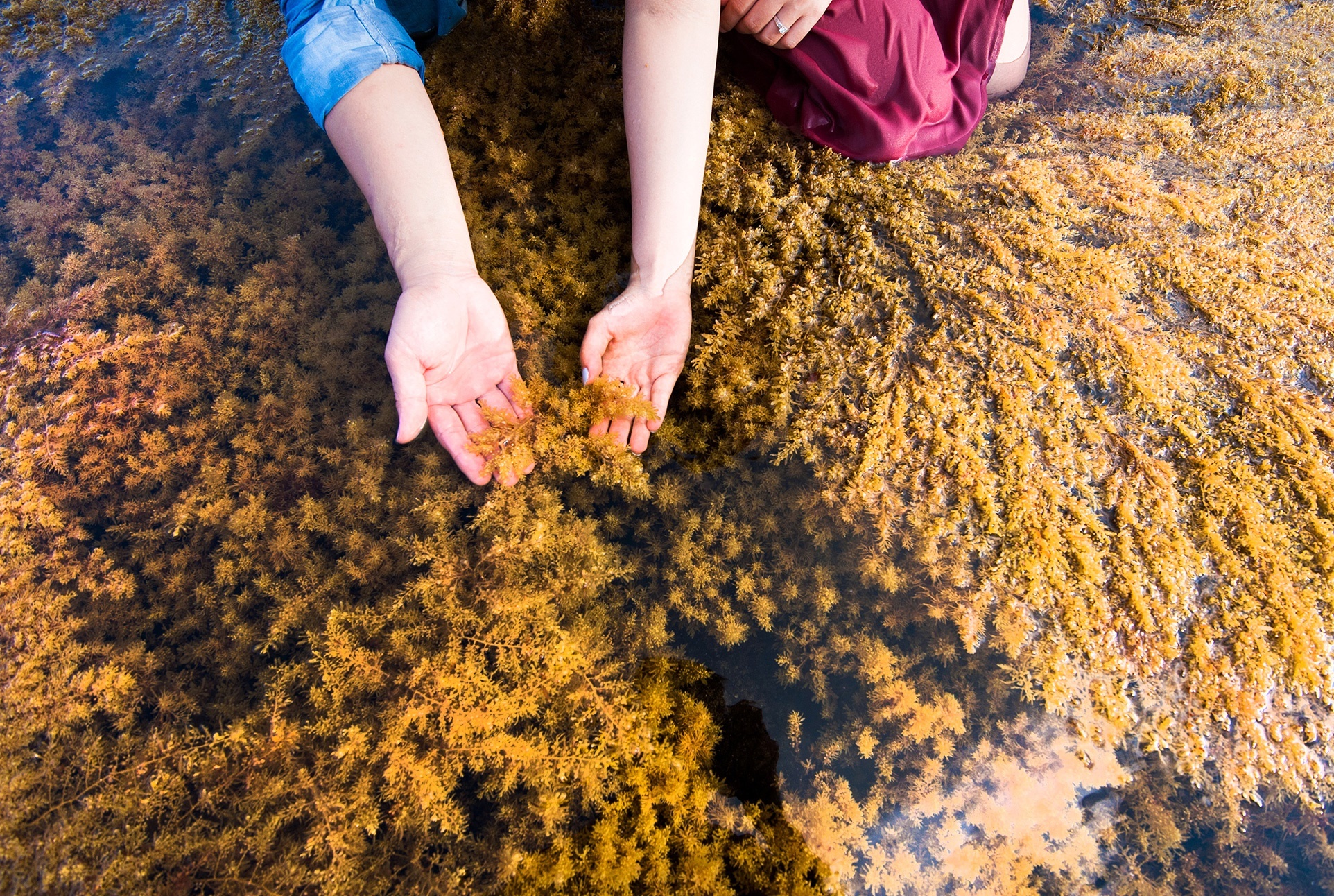 dia diem chup anh cuoi ngoai canh anh 6