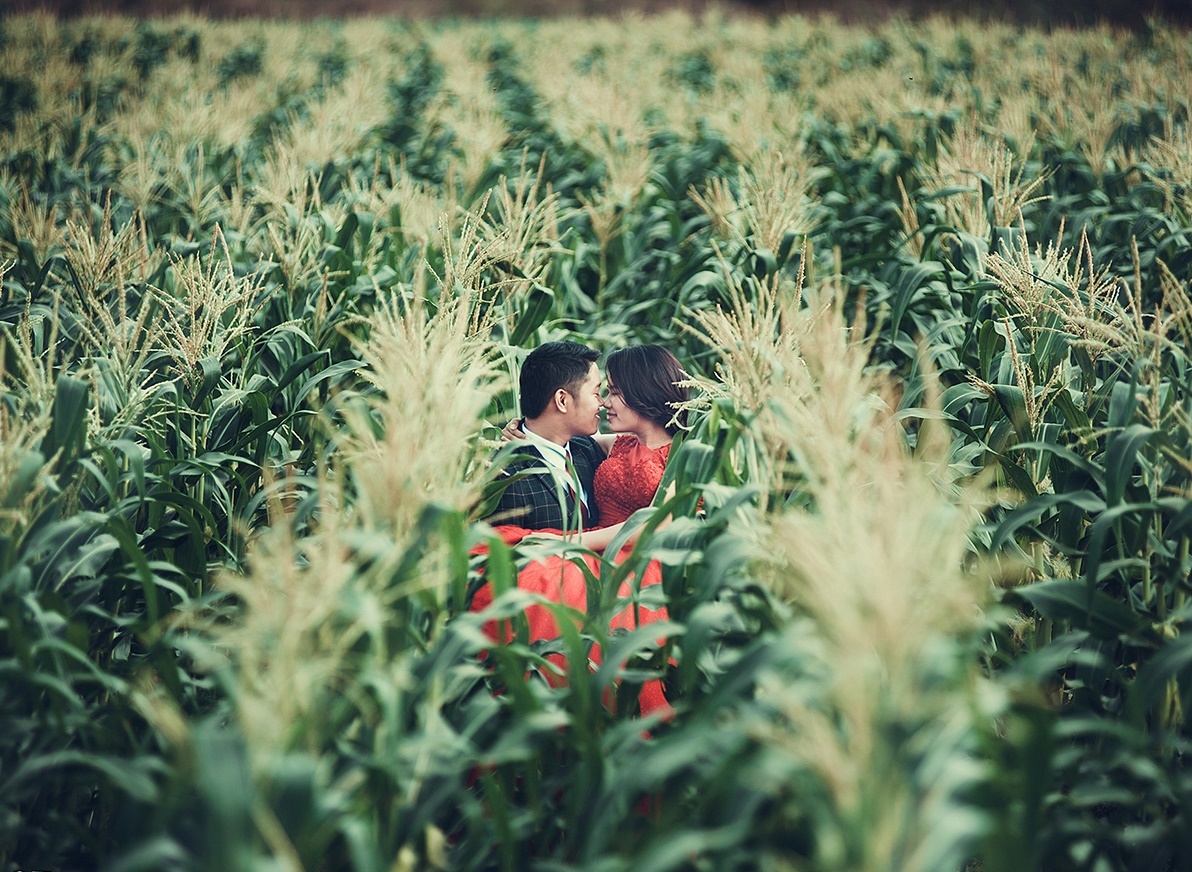 dia diem chup anh cuoi ngoai canh anh 29