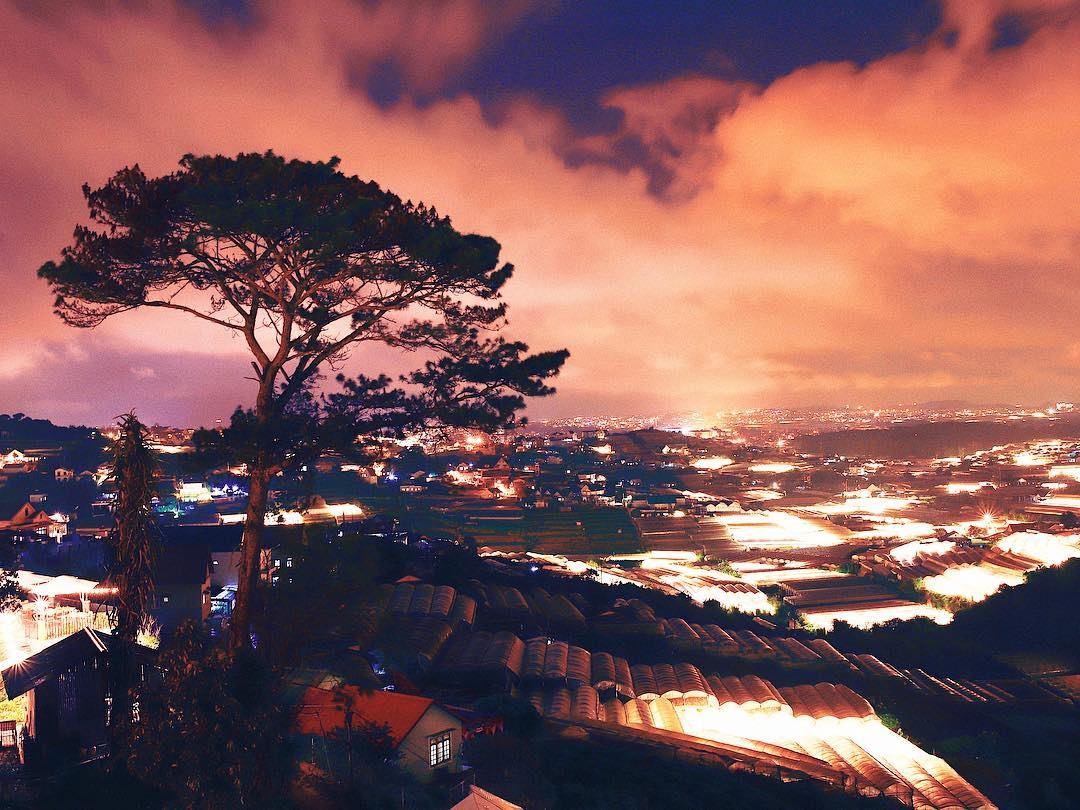 ca phe view dep da lat anh 14