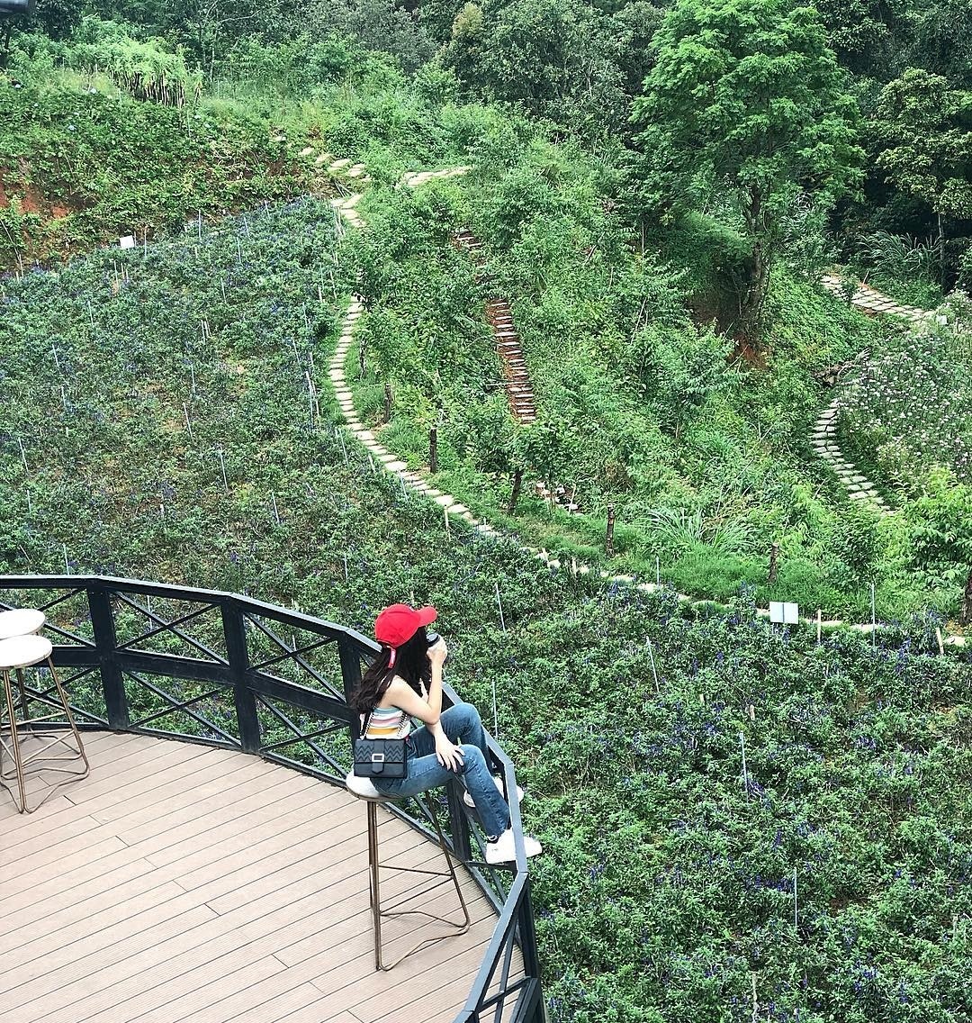 ca phe view dep da lat anh 16