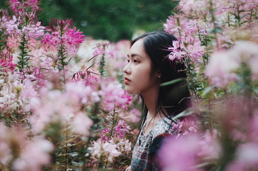 4 quan ca phe o Da Lat co tam nhin thoang dang, thoa suc check-in hinh anh