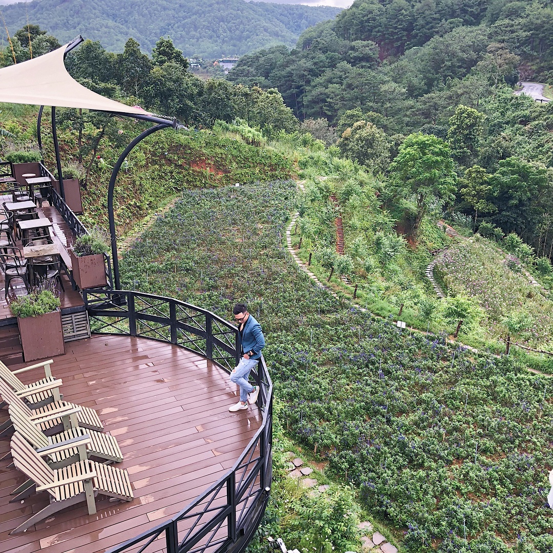 ca phe view dep da lat anh 19