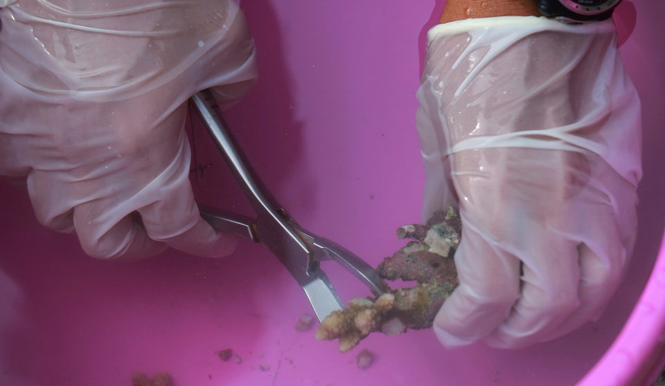 bai bien Thai Lan dong cua anh 10