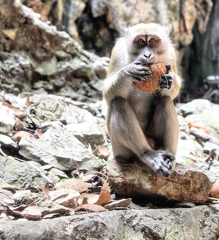boi canh phim nguoi bat tu tai quang binh anh 4