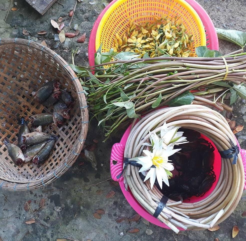 đặc sản đồng tháp ảnh 4 dac san dong thap anh 4