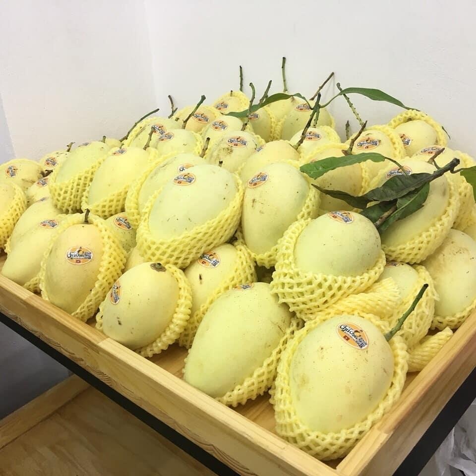 đặc sản đồng tháp ảnh 7 dac san dong thap anh 7