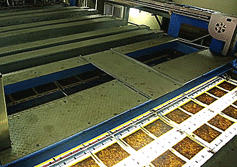 Snack rong bien say kho gion, thom duoc san xuat nhu the nao? hinh anh