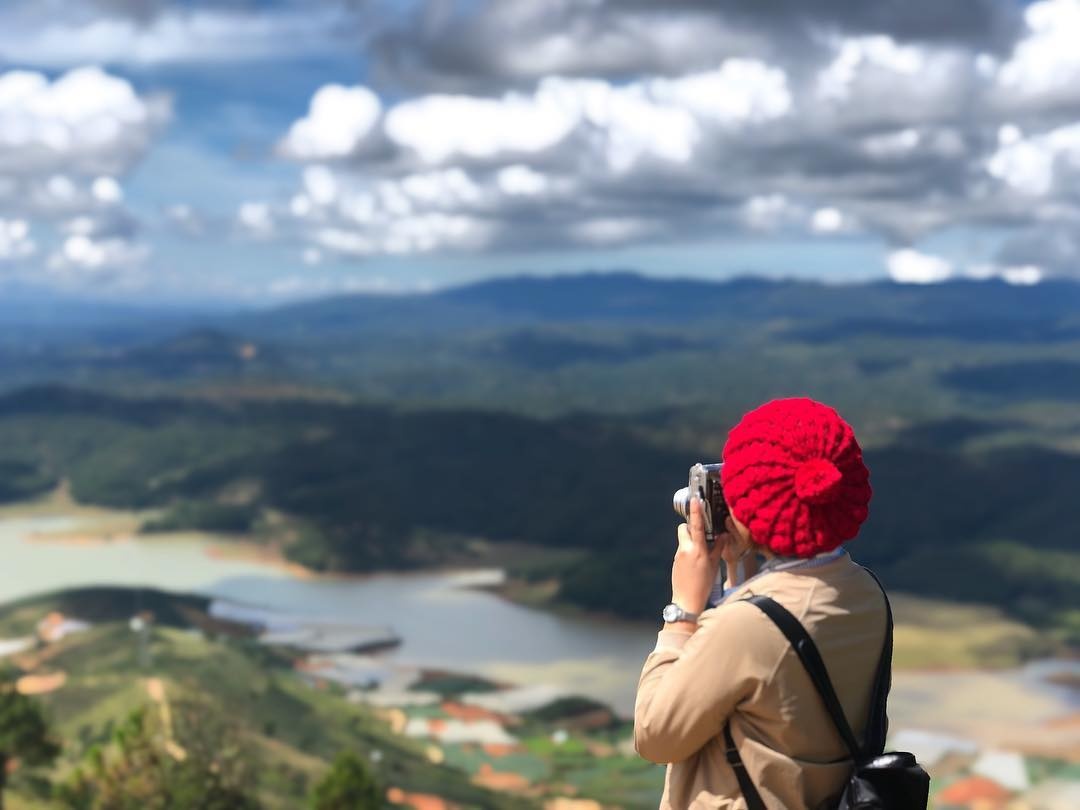 cỏ hồng Đà Lạt ảnh 5 co hong Da Lat anh 5