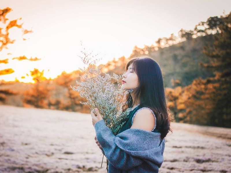 Vi sao co hong o Da Lat con duoc goi la co tuyet? hinh anh