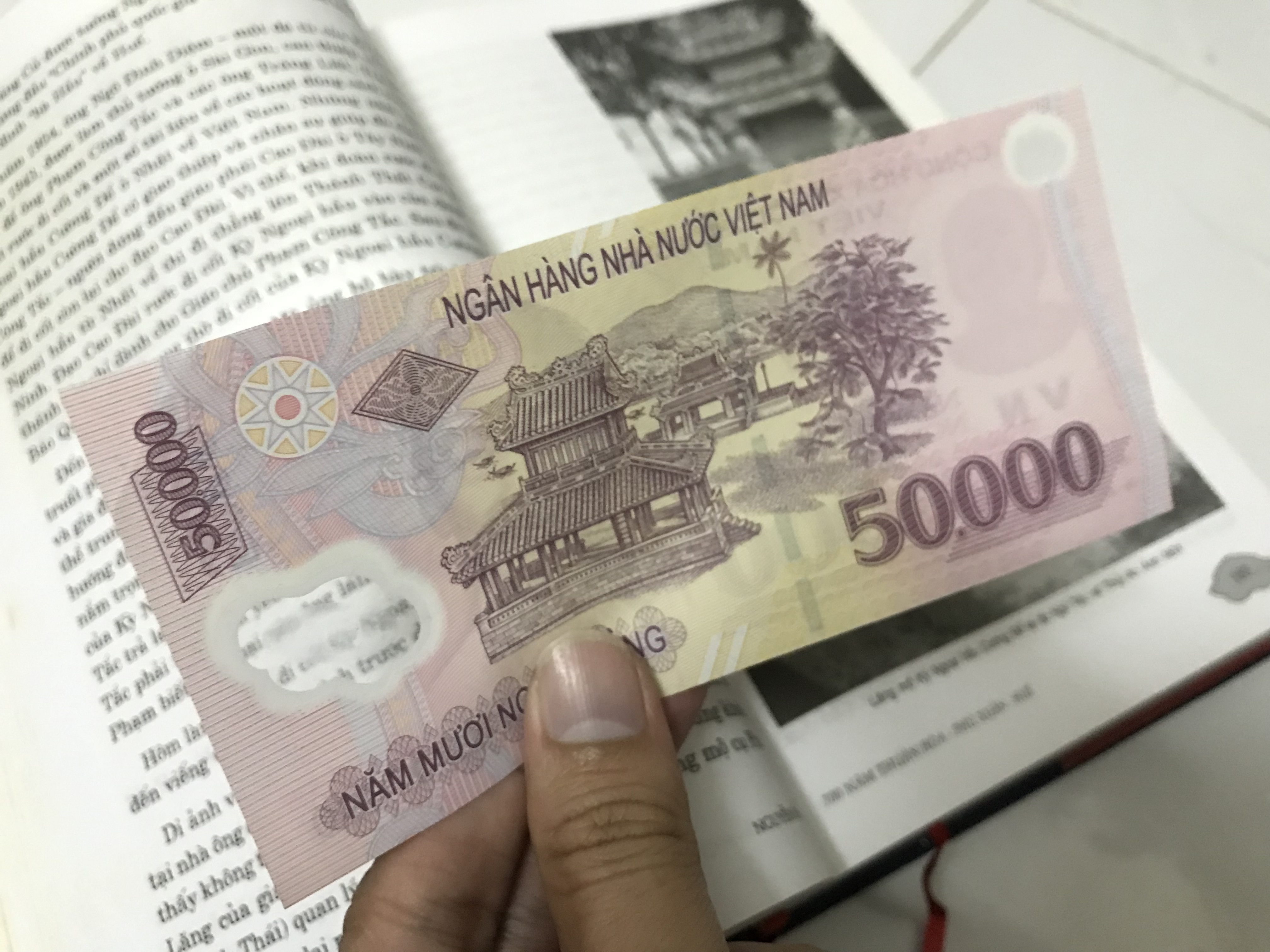 tờ 500000 in hình gì ảnh 6 to 500000 in hinh gi anh 6