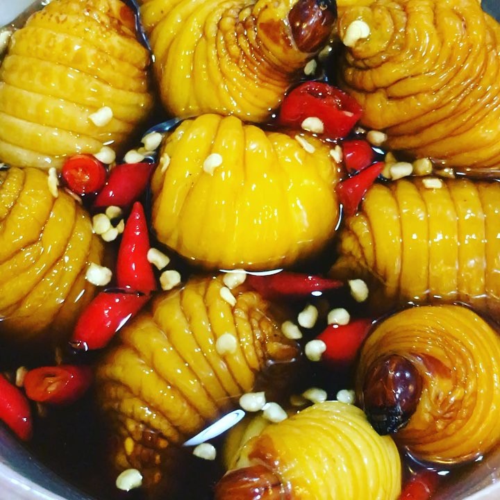 đuông dừa là gì ảnh 1 duong dua la gi anh 1