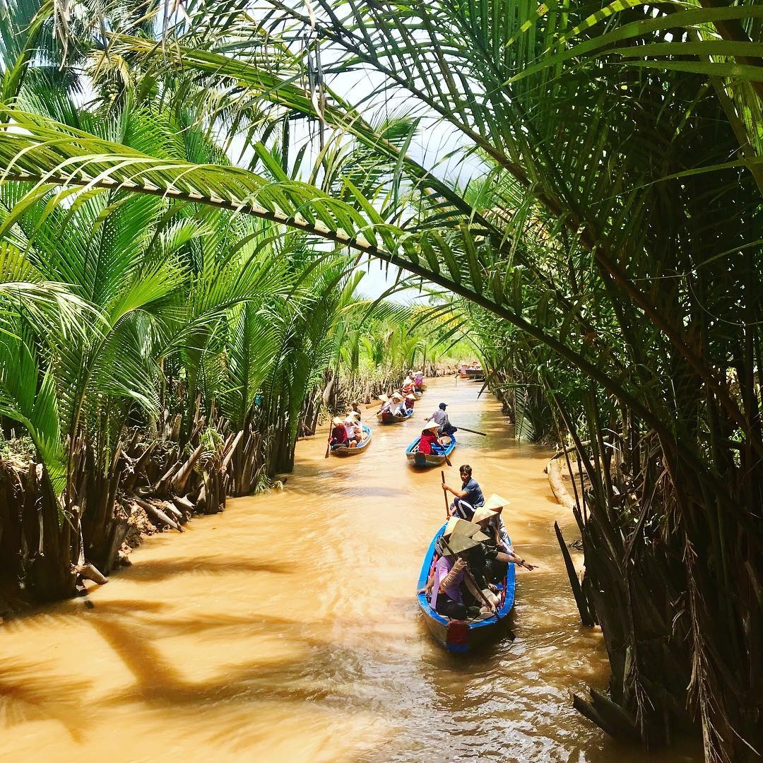 đuông dừa là gì ảnh 6 duong dua la gi anh 6