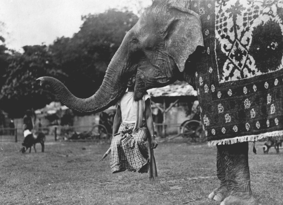 cong vien giai tri anh 9