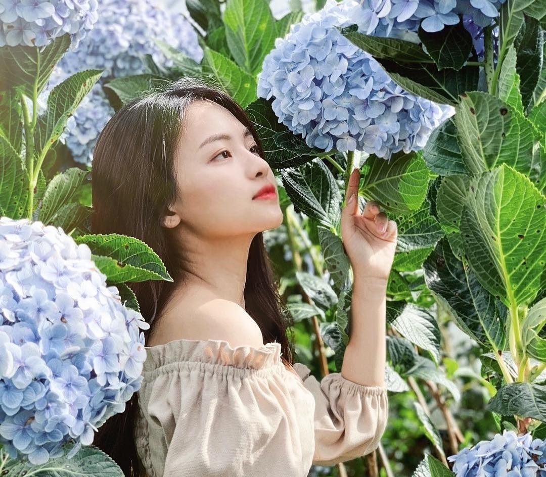 #Justgo: Ve dep tho mong cua vuon hoa cam tu cau Da Lat hinh anh