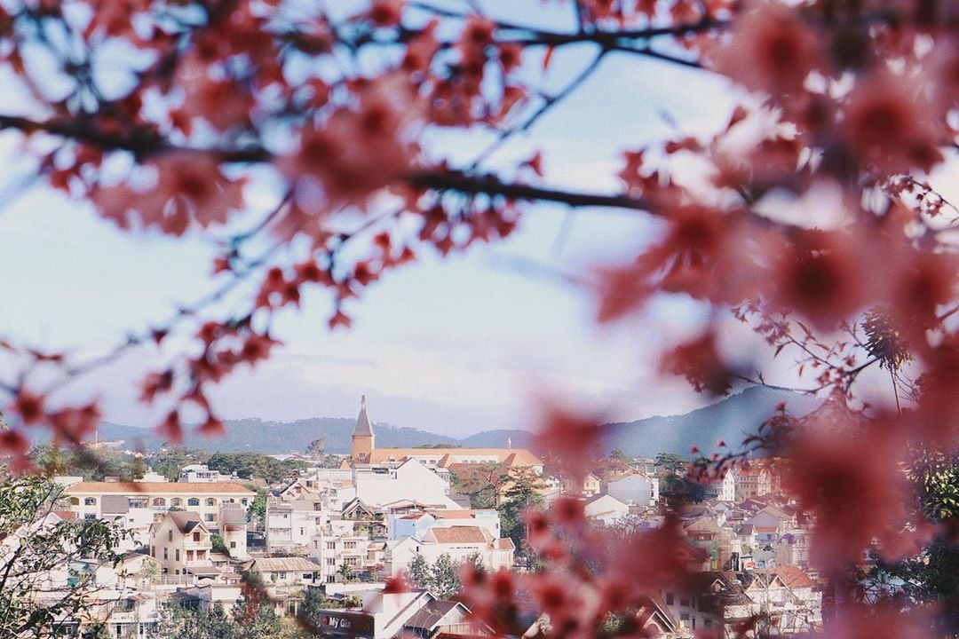 tỉnh tây nguyên không có đường biên giới quốc tế ảnh 3 tinh tay nguyen khong co duong bien gioi quoc te anh 3