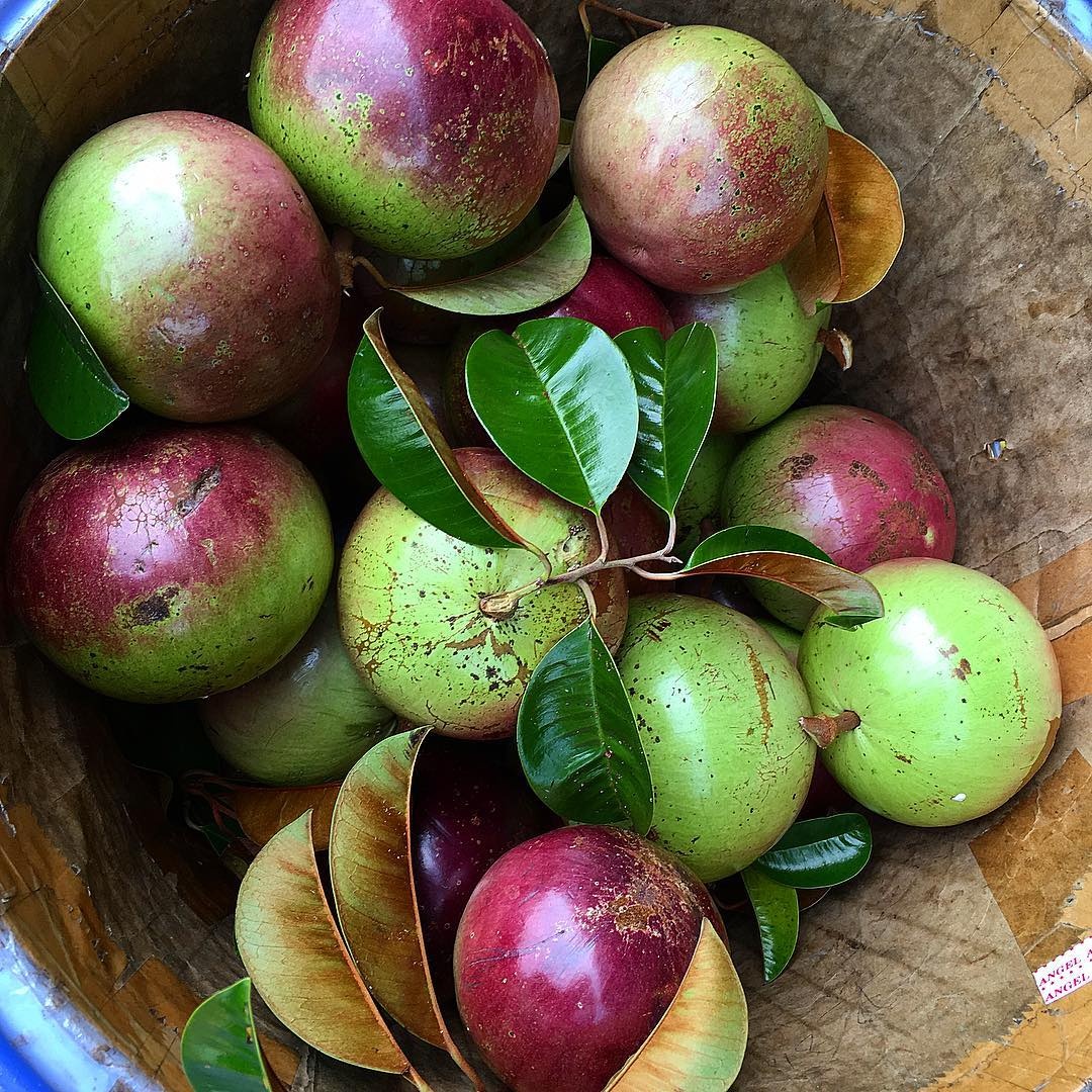 tinh duoc menh danh vuong quoc trai cay viet nam anh 3