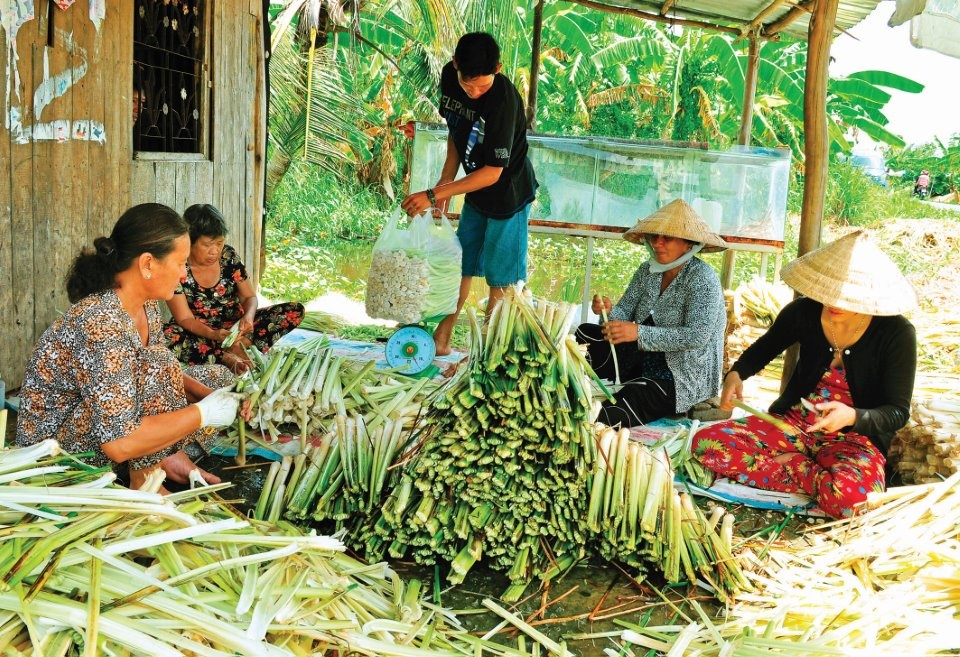 món lạ miền Tây ảnh 3 mon la mien Tay anh 3