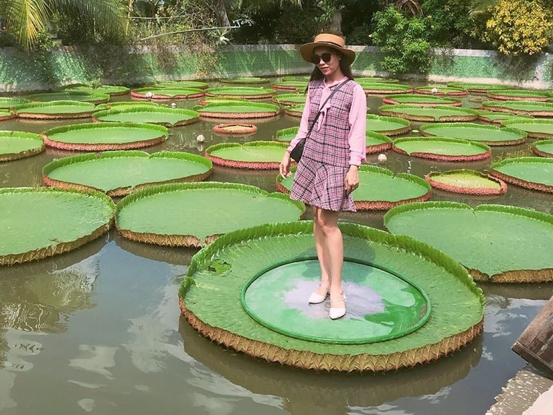 Cach dung len la sen de song ao o Dong Thap ma khong so chim hinh anh