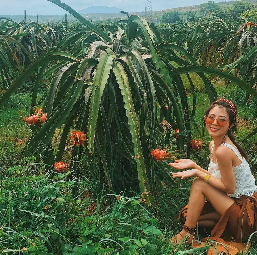 vương quốc thanh long việt nam ảnh 1 vuong quoc thanh long viet nam anh 1