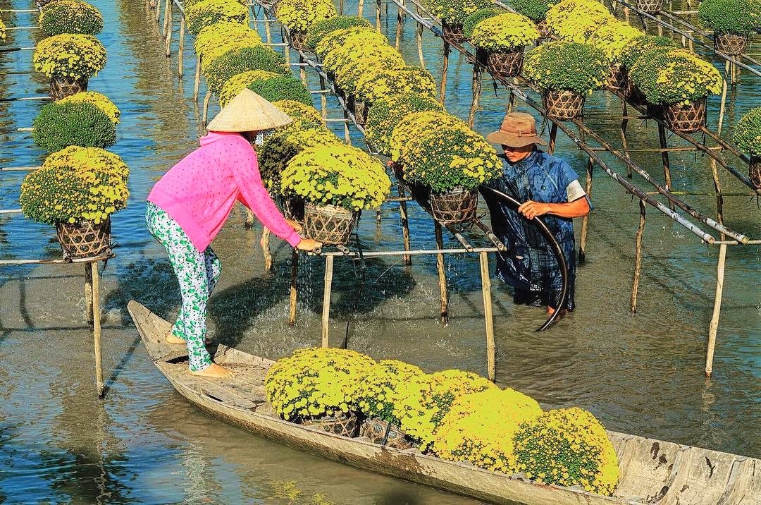 du lich dong thap anh 6