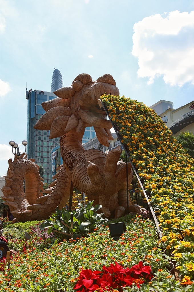 duong hoa Nguyen Hue to chuc lan dau nam nao anh 4