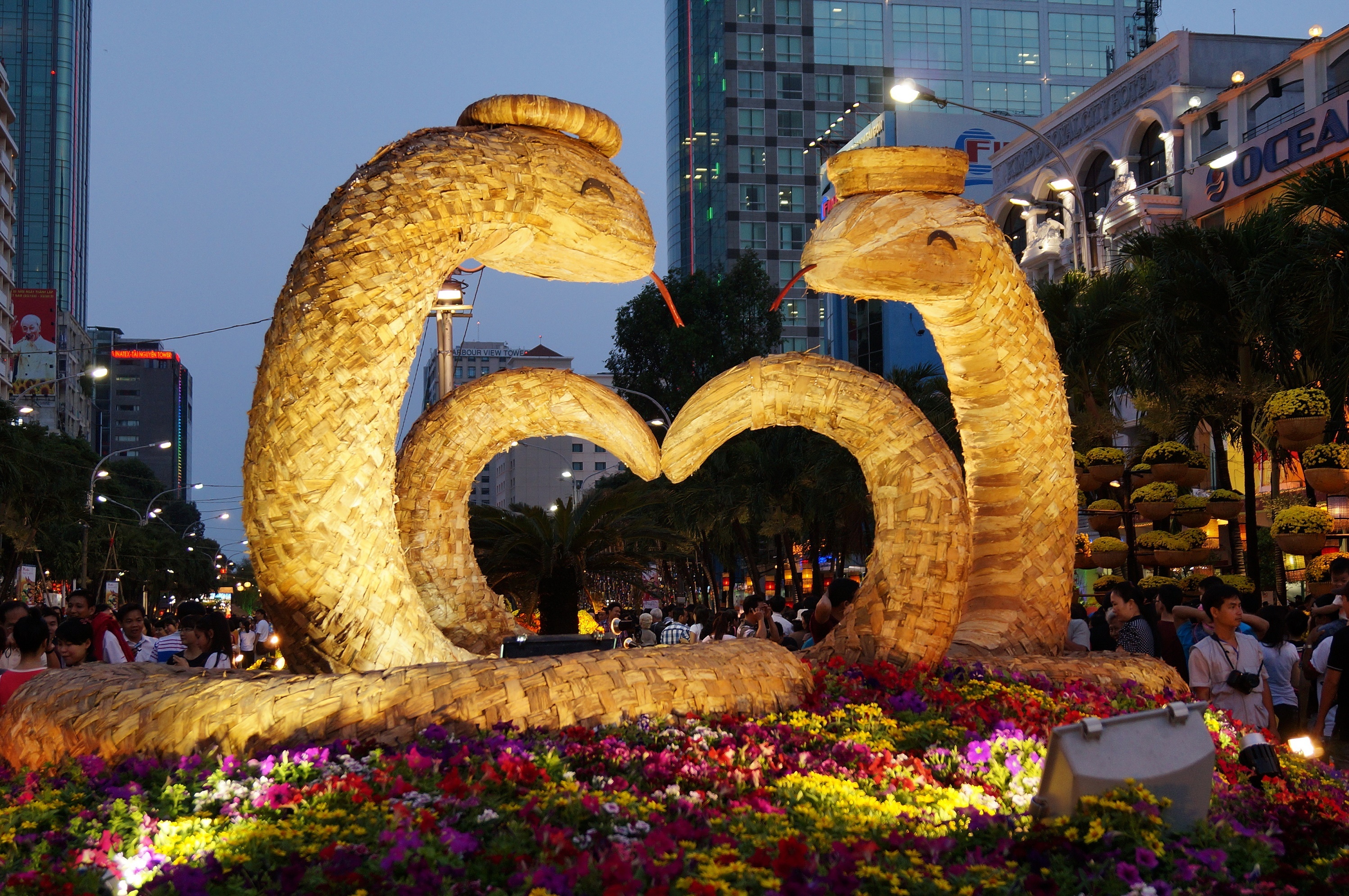 duong hoa Nguyen Hue to chuc lan dau nam nao anh 5