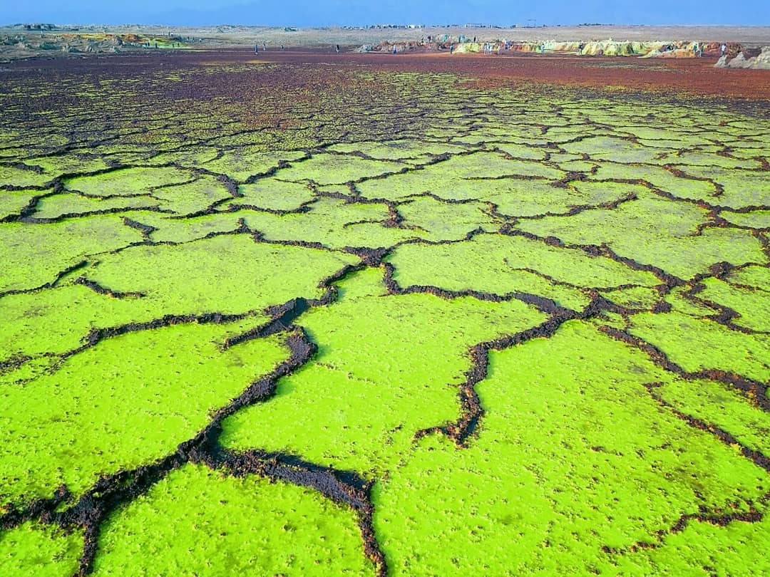 canh quan ky thu anh 6