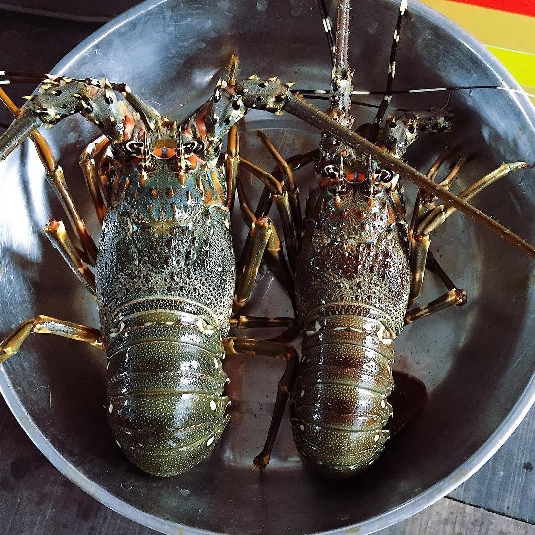 nem nuong ninh hoa anh 6