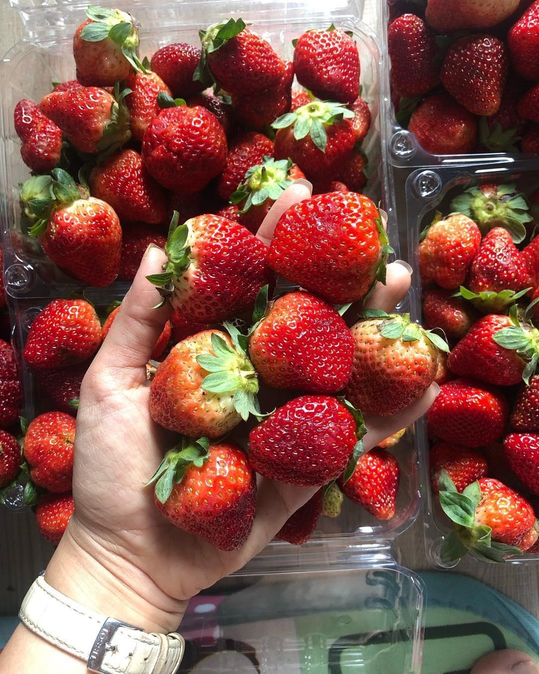 đặc sản đà lạt ảnh 6 dac san da lat anh 6