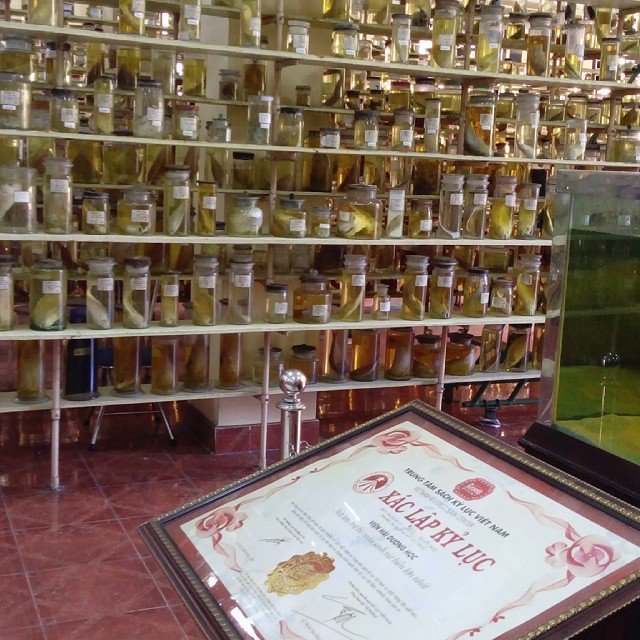 vien hai duong hoc nha trang anh 1